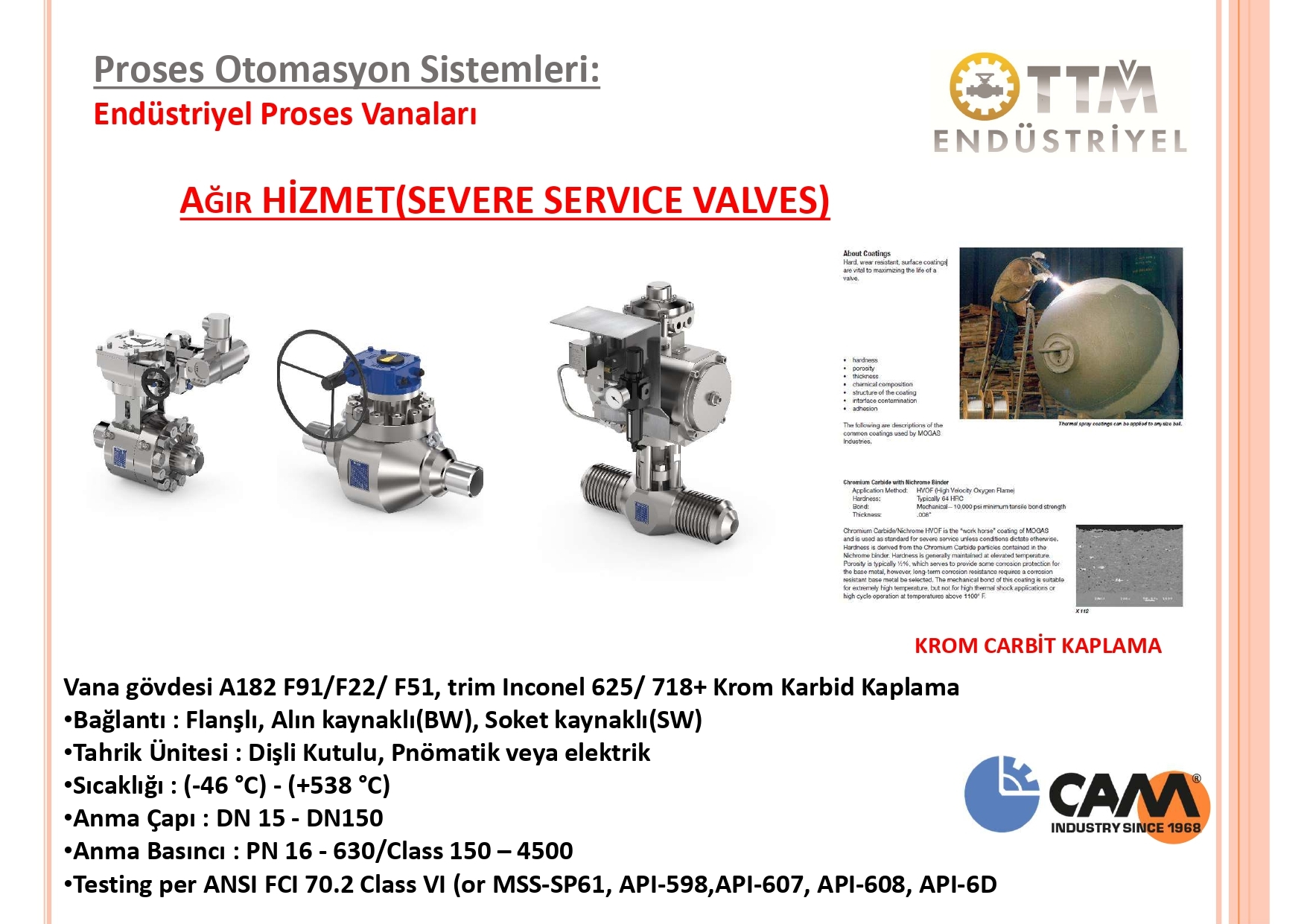Ağır Hizmet (Severe Service) Küresel Vanalar